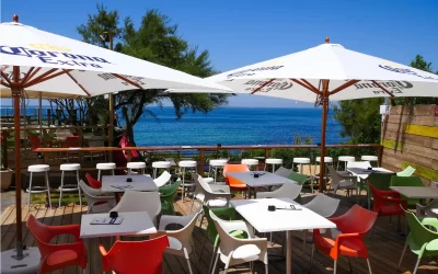 Bar-8211-Restaurant-Bibam_481711