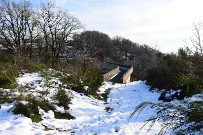Barrage-de-Saint-Amans-lachers-de-truites-8211-Villefranche-de-Panat_2229452