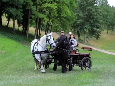 Belleme-Attelages-association_691265
