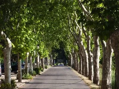 Belles-Routes-De-Tarascon-a-Salon-de-Provence_738497