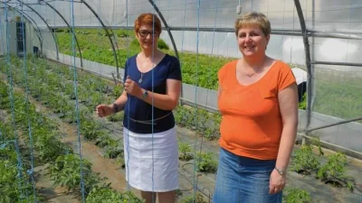 Belval-en-Fleurs-–-ventes-de-plants-legumes-et-Fleurs-8211-08-05-2026-8211-Portieux_3600693