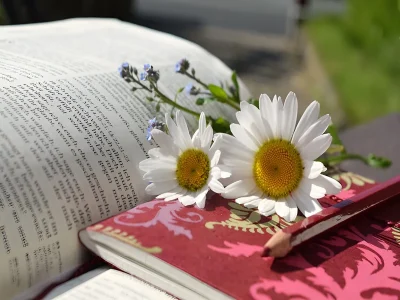 Bibliotheque-Au-bord-des-mots-8211-Merville-Franceville-Plage_2854977
