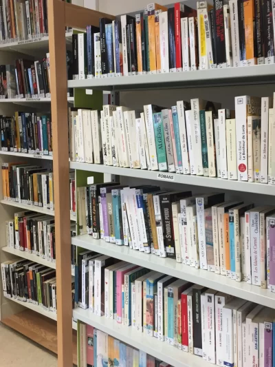 Bibliotheque-de-Bosmie-l039Aiguille_496597