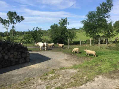 Bienvenue-a-La-Coussaie-8211-Beaulieu-sous-Parthenay_1656686