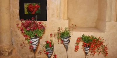 Bilabo_402426