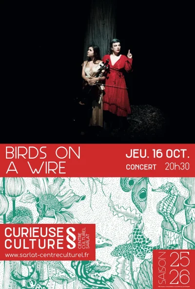 Birds-on-a-Wire-8211-16-10-2025-8211-Sarlat-la-Caneda_2938785