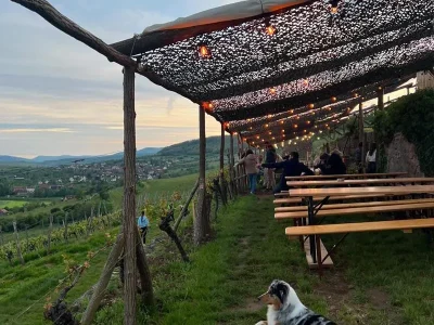 Bistrot-champetre-8211-01-07-2025-8211-Marlenheim_2948258
