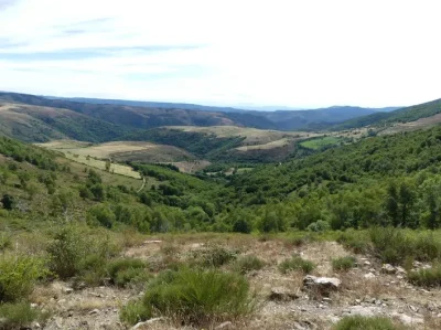 Bois-de-Lozeret-8211-VTT-n°15-8211-Mont-Lozere-et-Goulet_3760356
