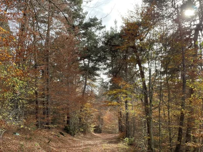 Bonnefont-Trail-n°61-8211-Bel-Air-Val-d039Ance_3747931