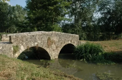 Bonny-sur-Loire_442962