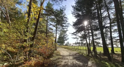 Bosselettes-autour-de-Chateauneuf-de-Randon-Trail-n°21-8211-Chateauneuf-de-Randon_3758484