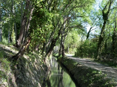 Bouches-du-Rhone-en-Paysages-8211-Miramas-entre-ombres-et-lumieres-8211-Miramas_2704040