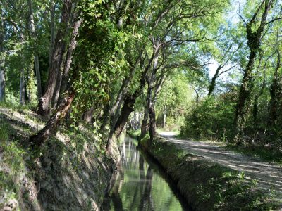 Bouches-du-Rhone-en-Paysages-8211-Miramas-entre-ombres-et-lumieres_24763