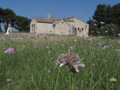 Bouches-du-Rhone-en-Paysages-8211-Noves-Les-collines-et-la-plaine-du-Comtat-8211-Noves_2750692