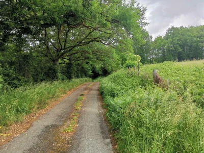Boucle-Locale-N°50-Saint-Dizier-Leyrenne-et-la-vallee-du-Thaurion-8211-Saint-Dizier-Masbaraud_1421856-1