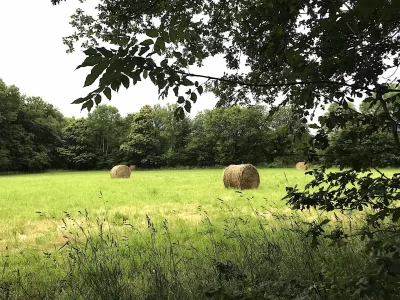 Boucle-de-Limoges-a-Saint-Pardoux-Coeur-de-Nature-etape-3_1071111