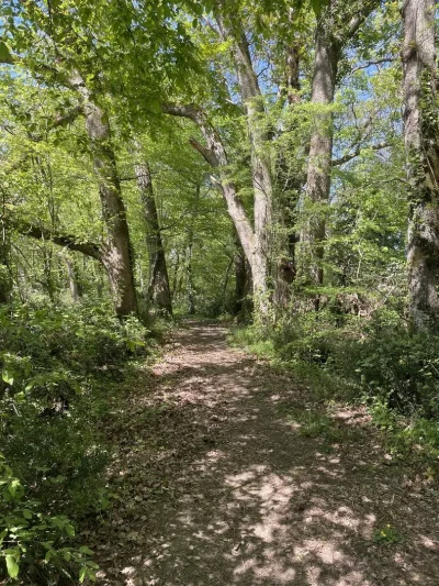 Boucle-du-Massif-de-Lagudal-8211-Eyraud-Crempse-Maurens_3867113