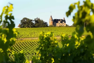 Boucle-moyenne-au-coeur-du-vignoble-de-Sauternes_1063734