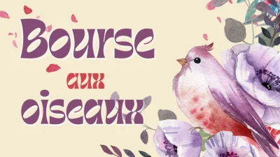 Bourse-aux-oiseaux-8211-28-09-2025-8211-Trelissac_3166500