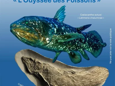 Bourse-exposition-L039odyssee-des-poissons-8211-04-10-2025-8211-Thionville_3084415