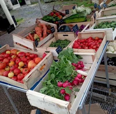Boutique-de-producteurs-8211-Le-Pied-a-l039Etrier-8211-Mialet_2250092