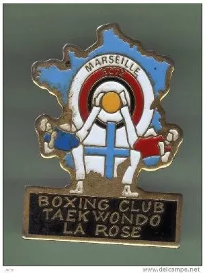Boxing-Club-Taekwondo-La-Rose_712737