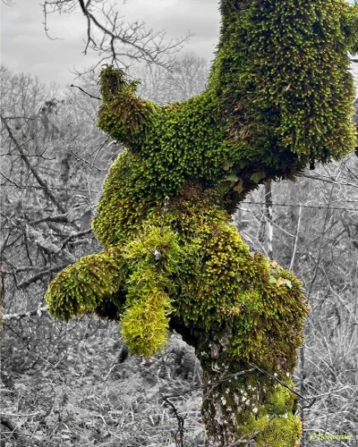 Bruno-Boigontier-Artiste-Peintre-et-photographe-8211-Tremolat_3863790