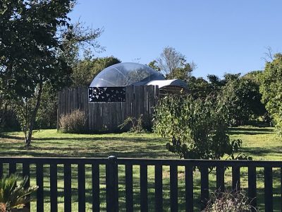 Bulle-Belle-de-Nuit-8211-Domaine-Angelou_47530