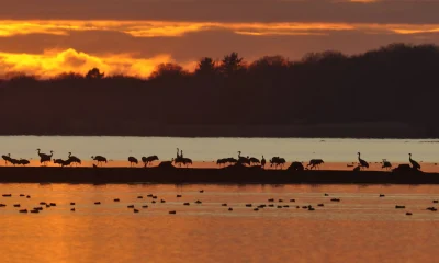 Bulles-au-crepuscule-sur-les-lacs-d039Orient-8211-Brevonnes_3561229