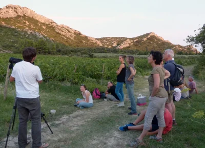 Bureau-des-Guides-Naturalistes-8211-Saint-Remy-de-Provence_2362696