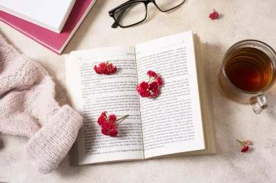 CAFE-LITTERAIRE-quotVOYEZ-LA-VIE-EN-ROSEquot-8211-11-10-2025-8211-Portet-sur-Garonne_2939582