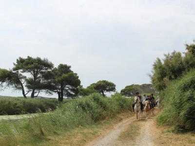 CAMAR039AD-EQUITATION-8211-Narbonne_3831663