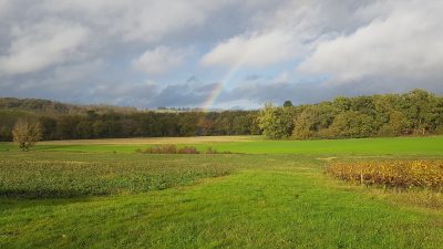 CAMAT-quotLE-VALLONquot_151389