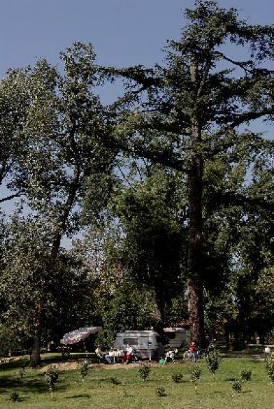 CAMPING-DE-LABEYRIE_38133