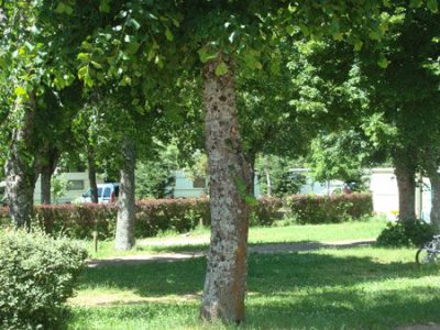 CAMPING-MUNICIPAL-DE-GILLIAOU_38285