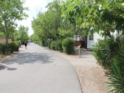 CAMPING-MUNICIPAL-DE-PISSEVACHES-8211-Fleury_2493756