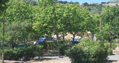 CAMPING-MUNICIPAL-LA-PINEDE_40327
