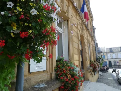 CARIGNAN-Ville-Fleurie-quot3-Fleursquot_567005
