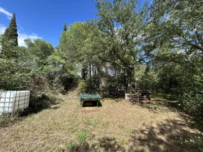CASOT-MERVEILLE-8211-Montesquieu-des-Alberes_3500507