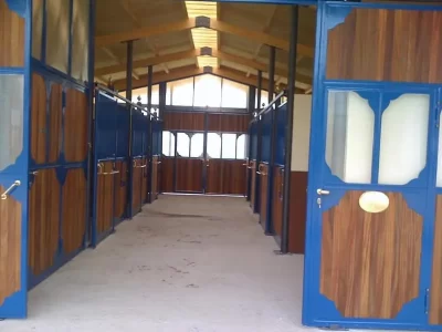 CD-Little-Ranch-Western-Riding_715044