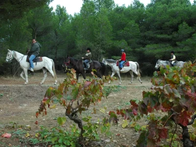 CENTRE-DE-TOURISME-EQUESTRE-LES-AYGUADES-8211-Gruissan_3831152