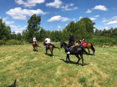 CENTRE-EQUESTRE-DU-CAIRE-8211-Villasavary_3829220