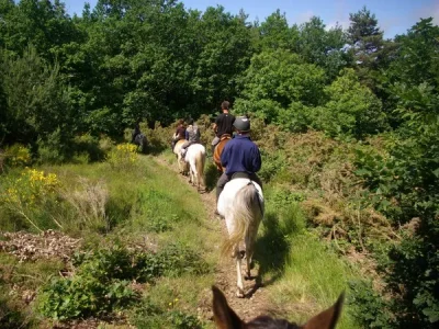 CENTRE-EQUESTRE-GOUTARENDE-8211-VILLAGE-DU-CHEVAL-8211-Cuxac-Cabardes_3831149