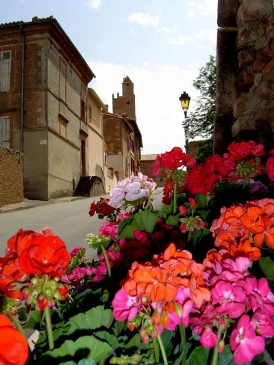 CENTRE-HISTORIQUE-DE-MONTESQUIEU-LAURAGAIS-8211-Montesquieu-Lauragais_3517135