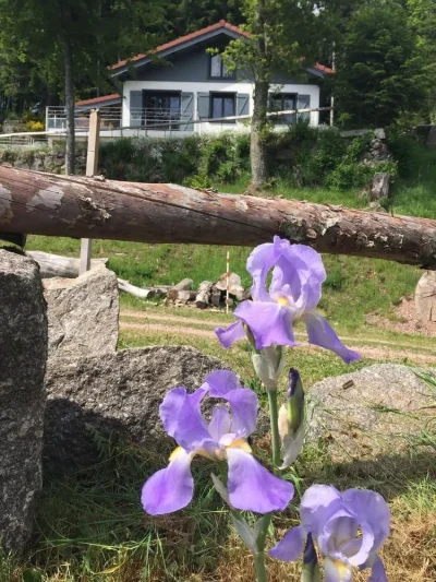 CHALET-8-PERSONNES-8211-MATIN-D039AVRIL-8211-Cornimont_2154423