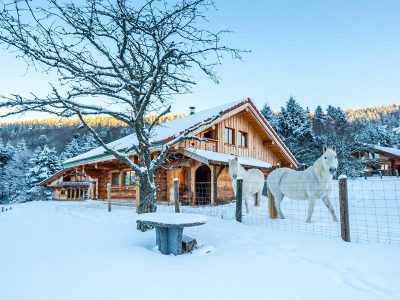 CHALET-EN-RONDINS-6-PERSONNES-LA-FUSTE-DU-SELLIER_83263
