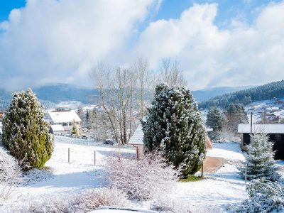 CHALET-LES-ECUREUILS_80419