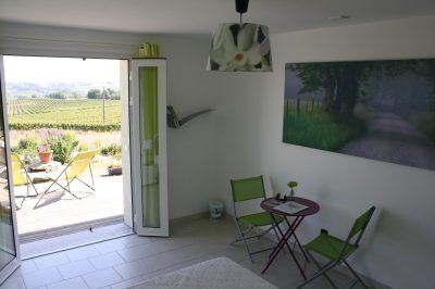 CHAMBRE-VERT-ANIS-1-A-2-PERSONNES_53596
