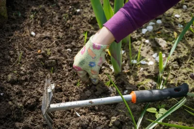 CHANTIERS-PARTICIPATIFS-8211-24-05-2025-8211-Ventalon-en-Cevennes_2624006