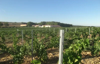 CHATEAU-COUJAN-L039AUBERGE-8211-Murviel-les-Beziers_2834254
